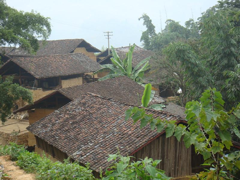 龙角村(广东省广州市增城区荔城街下辖村)