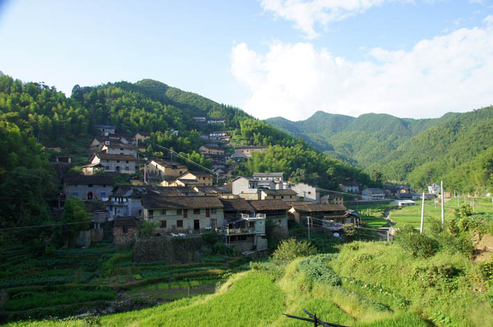 石马村(云南省大理宾川县宾居镇石马村委会)