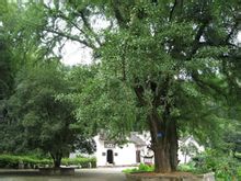 三国赤壁古战场 三国赤壁古战场
