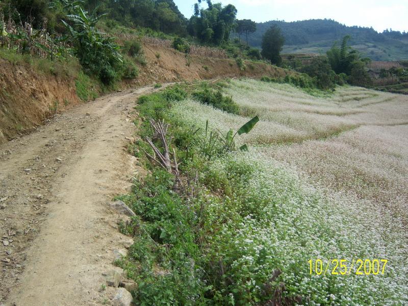 小落星村村内道路 小落星村村内道路