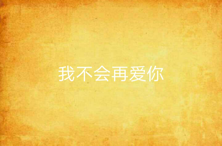 我不会再爱你