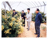 广东省增城市石滩镇(图3) 广东省增城市石滩镇(图3)