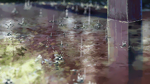 雨水节气雨水多 雨水节气雨水多