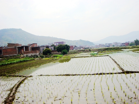 福山村 福山村