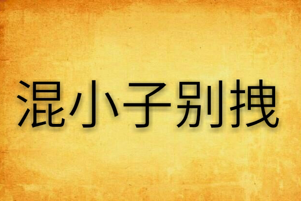 混小子别拽
