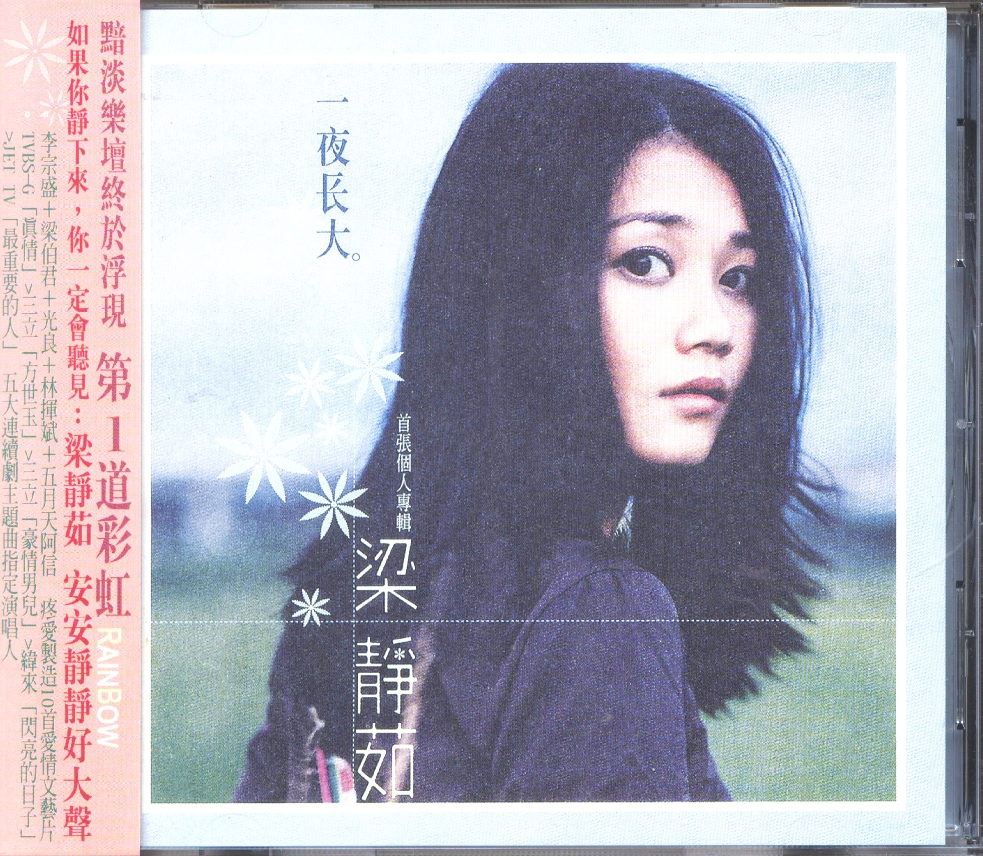对不起我爱你(梁静茹演唱的歌曲)