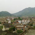 东山(福建省安溪县东山村)