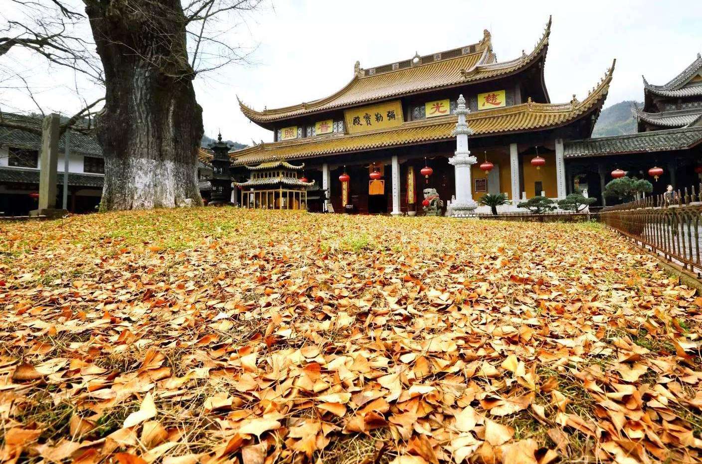 莲花古寺