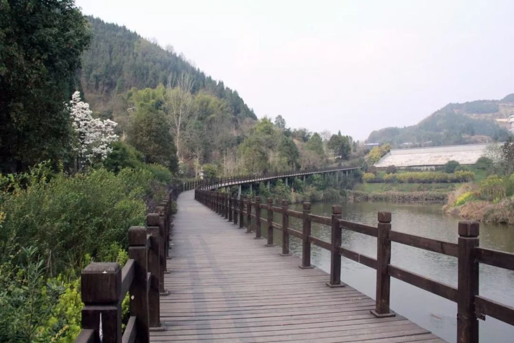 亲水木栈道 亲水木栈道