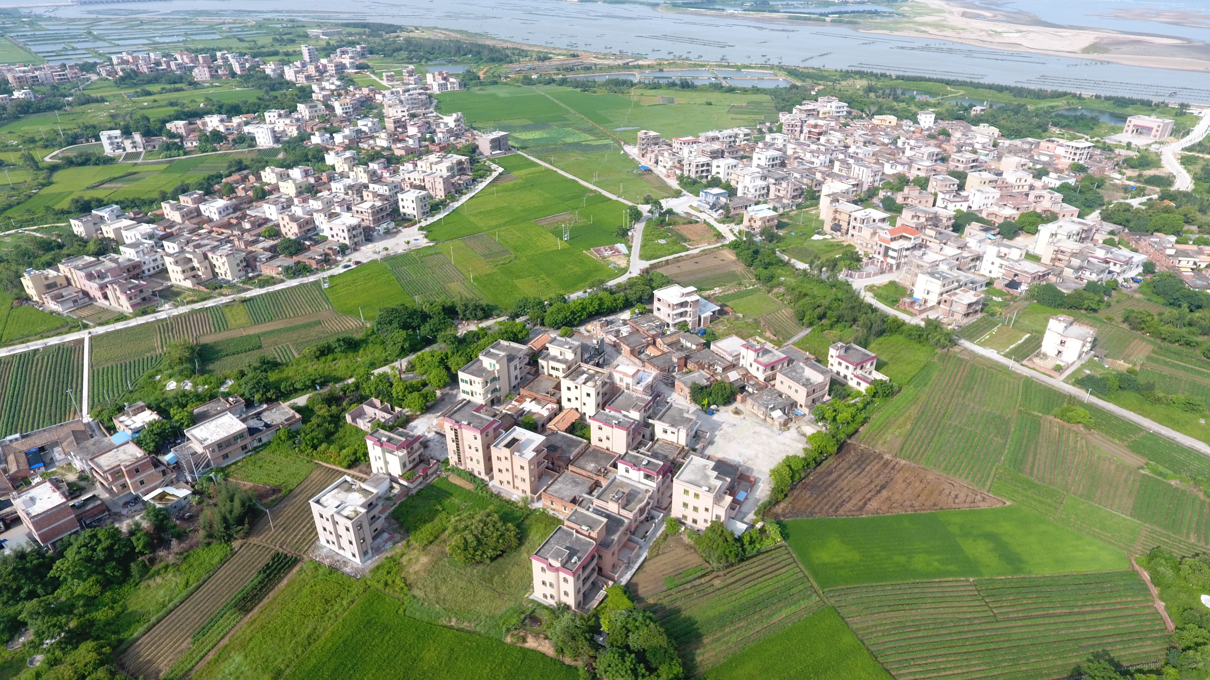 沙城村(广东省湛江市披头区乾塘镇下辖村)