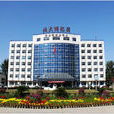 国有参股公司