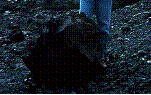 阿尔山火山 阿尔山火山