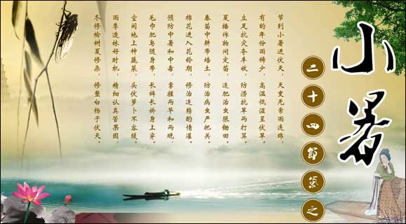 小暑 小暑