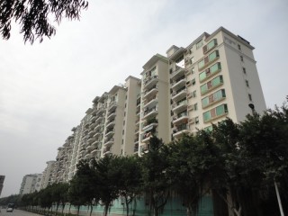 曦龙山庄 曦龙山庄