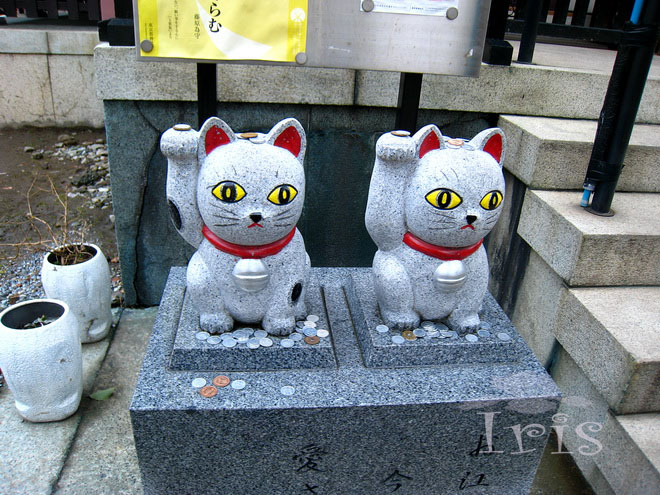 今户烧招财猫 今户烧招财猫