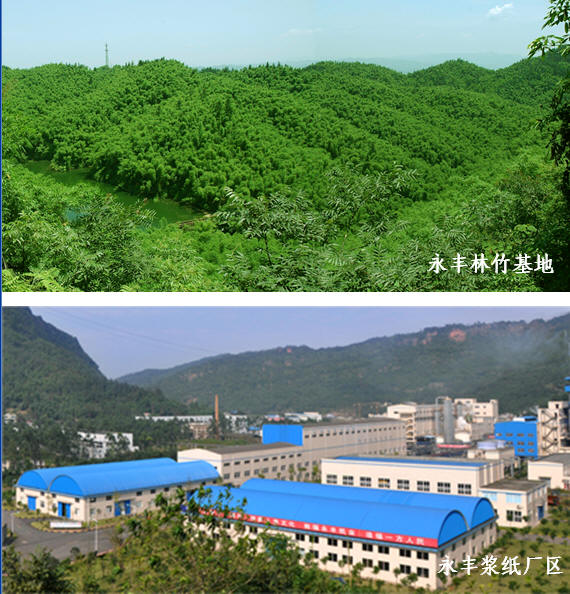 永丰竹浆,永丰浆纸 永丰竹浆,永丰浆纸