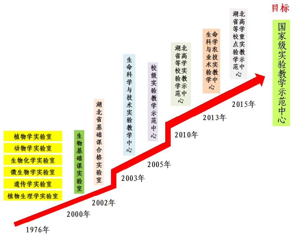 发展历程 发展历程