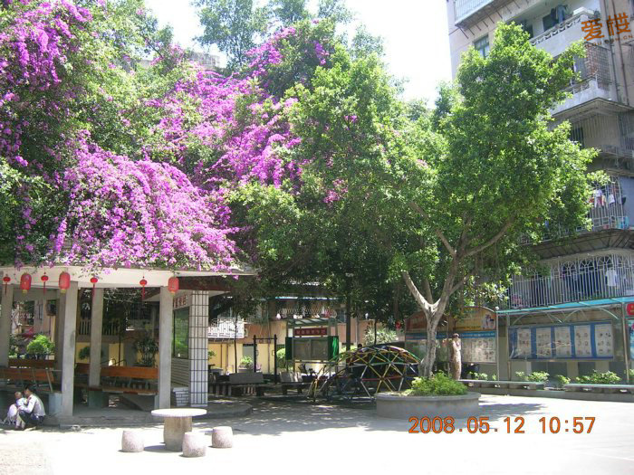 杨桥河南社区