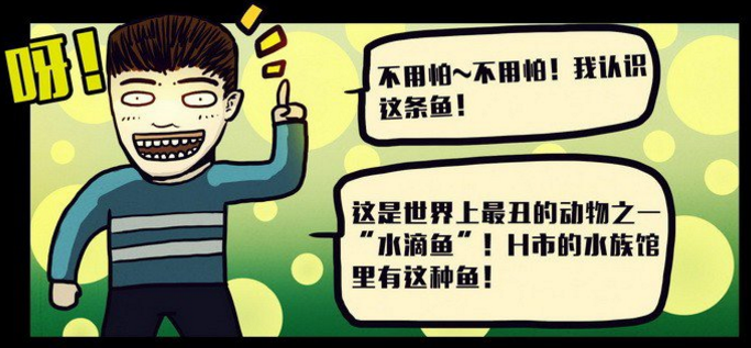 解说水滴鱼 解说水滴鱼