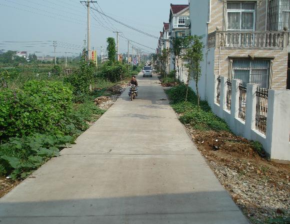 向山镇向阳村村貌 向山镇向阳村村貌