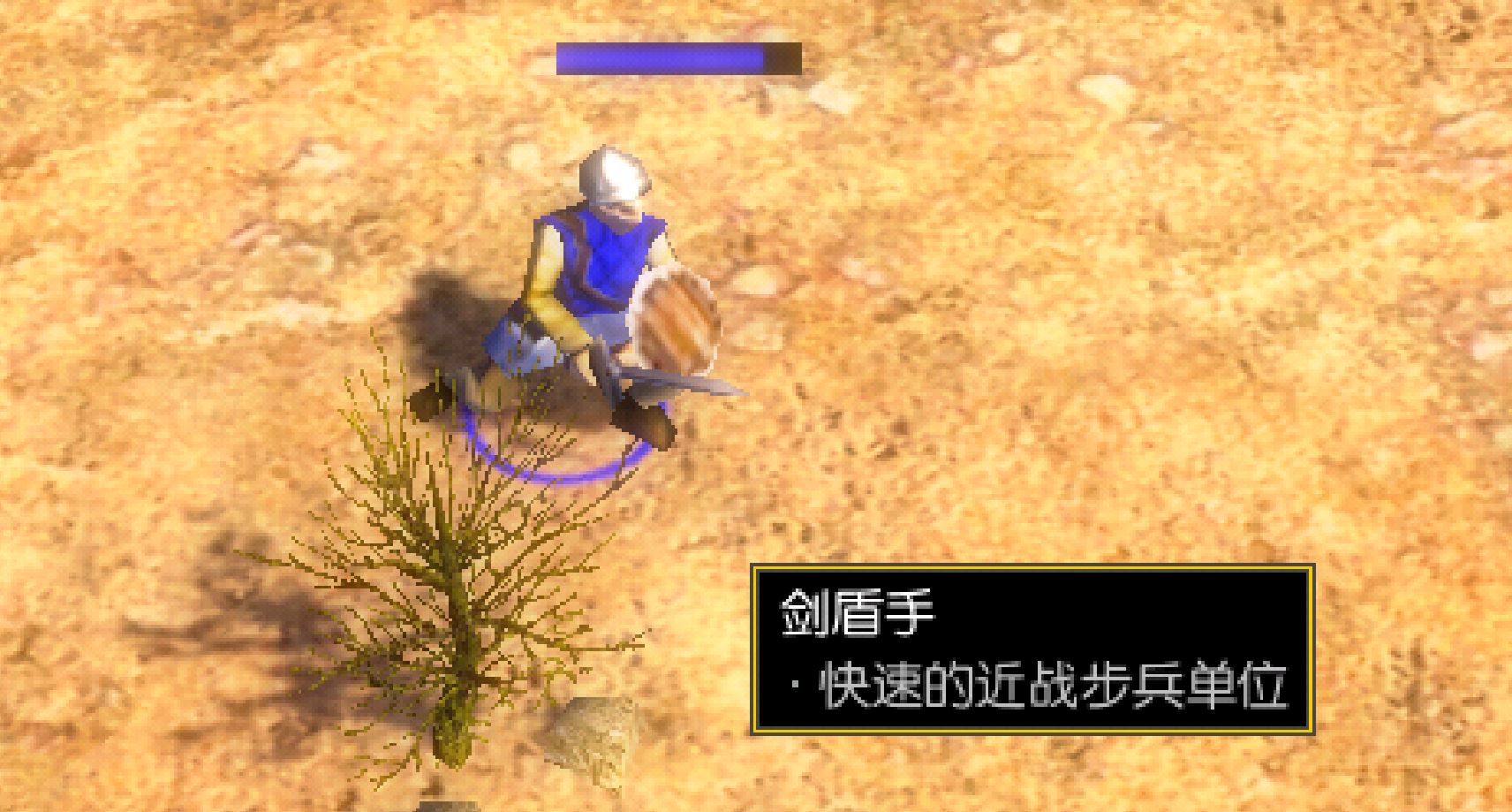 剑盾手