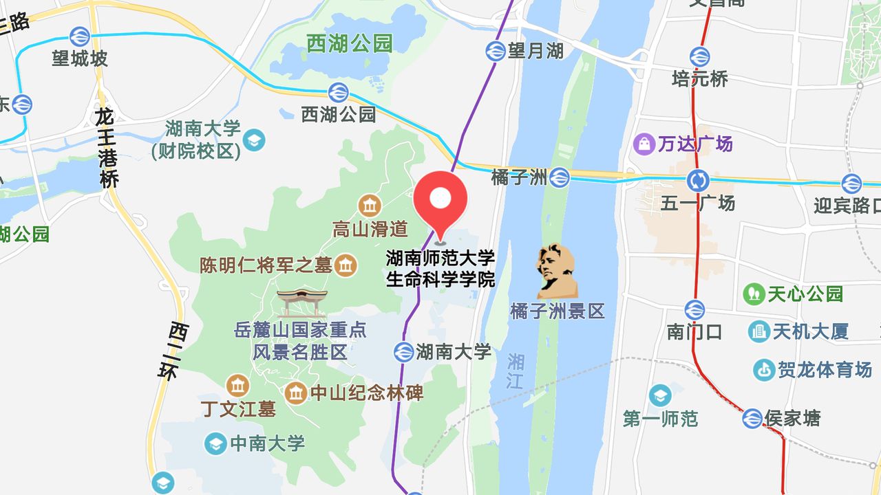 地图信息
