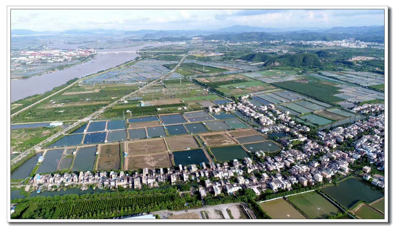 南安村 南安村