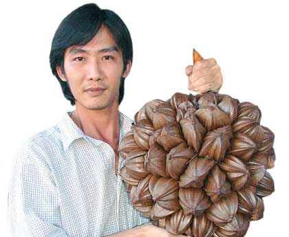 亚答子 亚答子