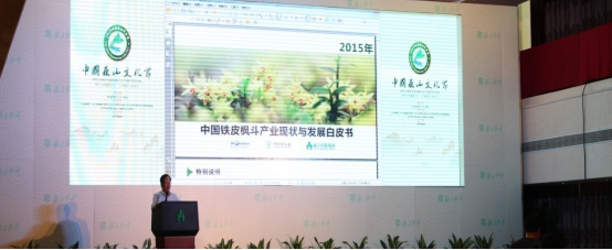 中国森山文化节 中国森山文化节