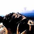 阿尔山火山