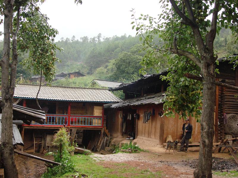 松园村(广东省江门市蓬江区杜阮镇下辖村)