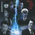 雷霆出击(中国2002年张中一执导电视剧)