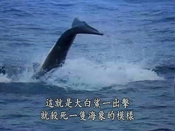 时空大冒险 时空大冒险