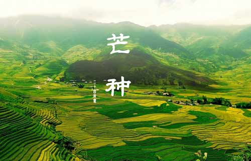 芒种(左河水的诗作)