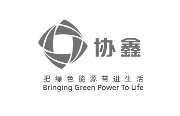 协鑫（集团）控股有限公司(协鑫集团控股有限公司)