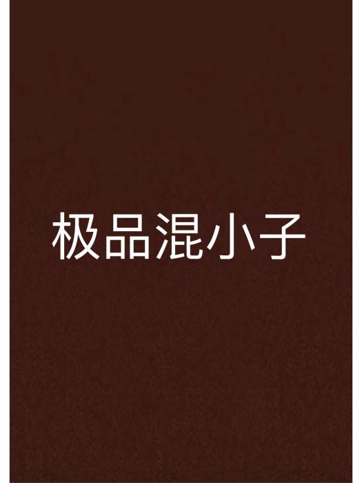 极品混小子