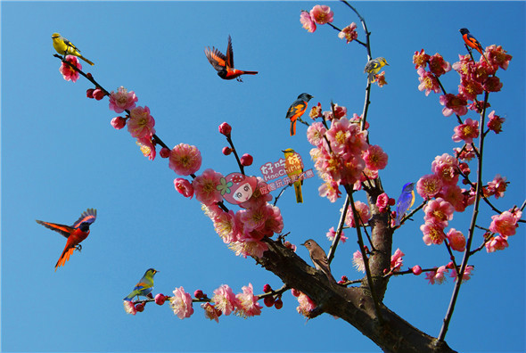 惭愧祖师 惭愧祖师