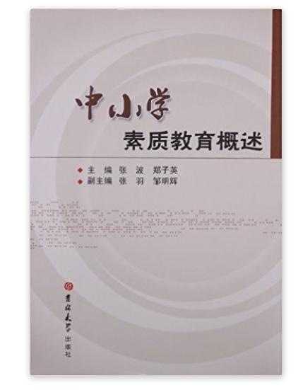 中国小素质教育概述