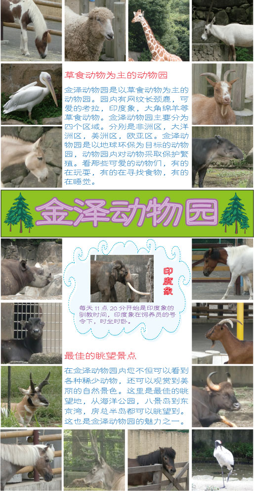 金沢动物园