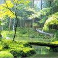 西芳寺