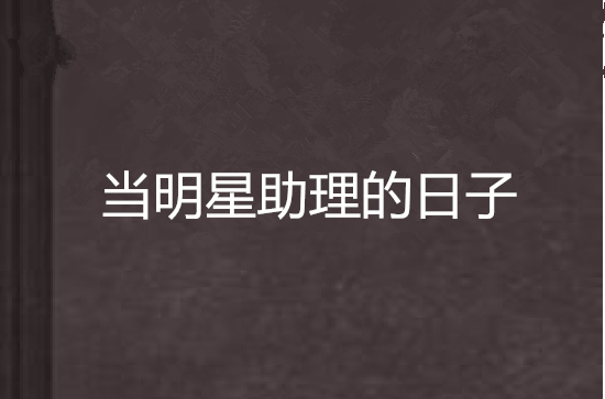 当明星助理的日子