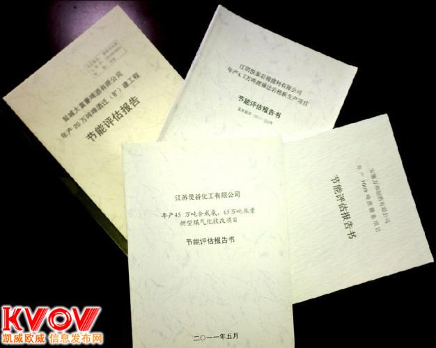 工业节能评估报告