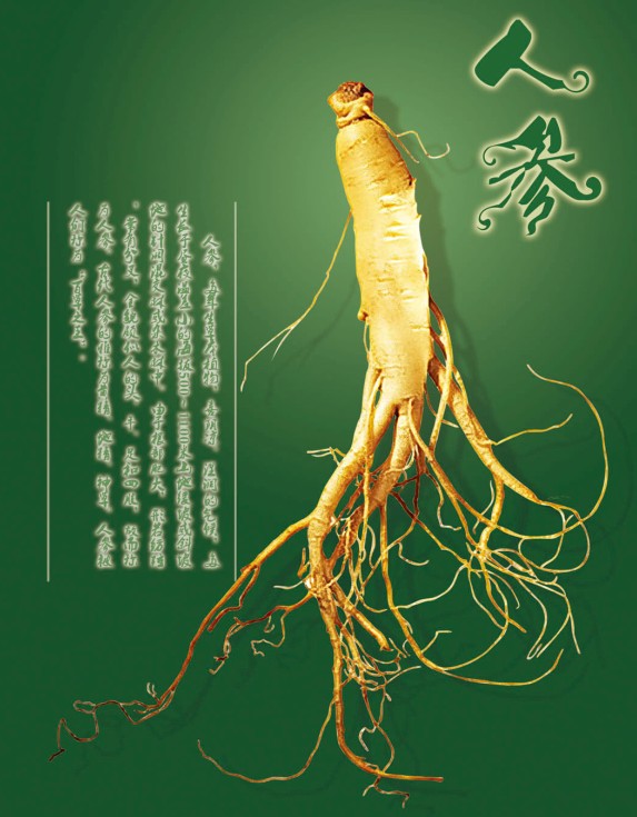 中华九大仙草 中华九大仙草