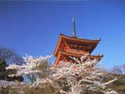 京都东山 京都东山