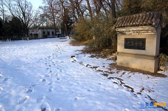 九华兮秀