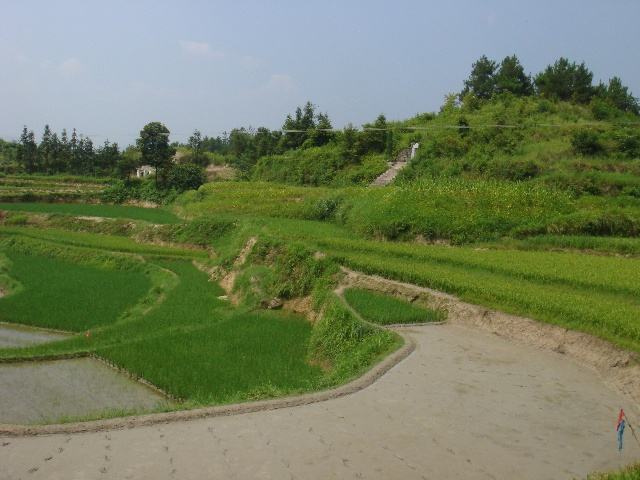 毛田乡 毛田乡