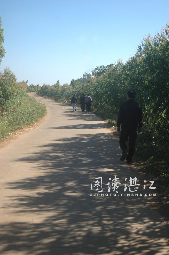 新建的水泥道四通八达 新建的水泥道四通八达
