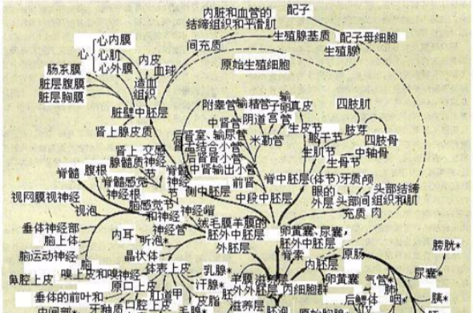 生物竞赛
