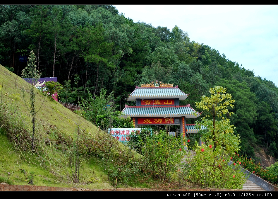 半山腰景观 半山腰景观