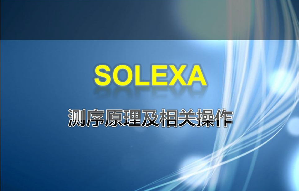 Solexa 测序系统